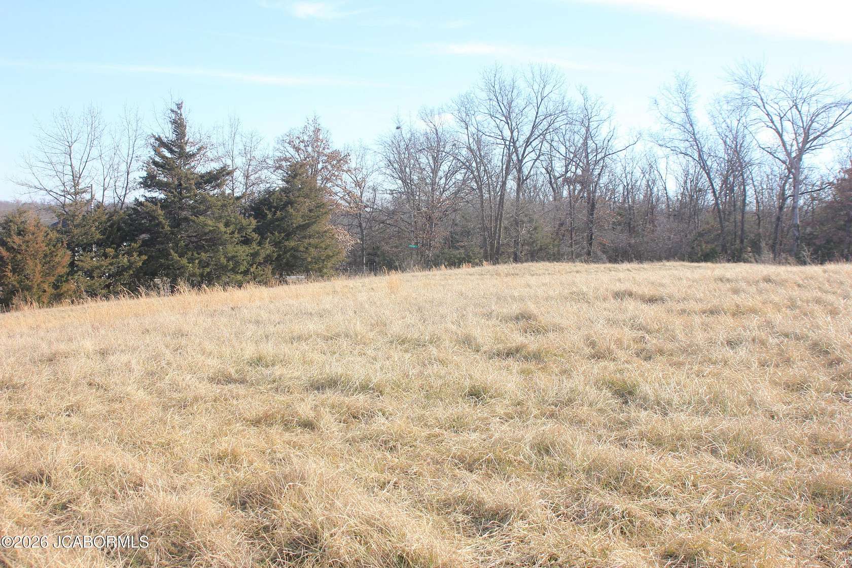 21.6 Acres of Agricultural & Residential Land for Sale in California, Missouri