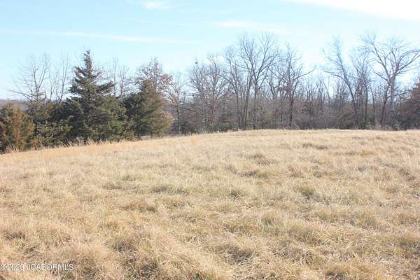 21.6 Acres of Agricultural & Residential Land for Sale in California, Missouri