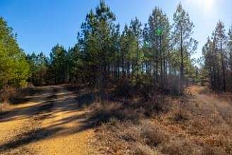 94.5 Acres of Land for Sale in Stewart, Tennessee