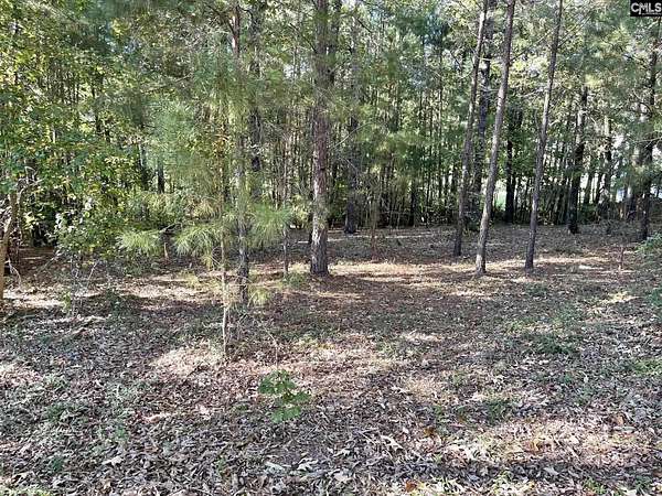0.43 Acres of Residential Land for Sale in Elgin, South Carolina