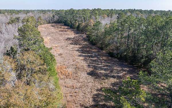 135 Acres of Improved Land for Sale in Lake City, Florida