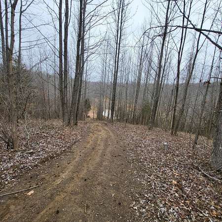 54 Acres of Land for Sale in Marion, Kentucky