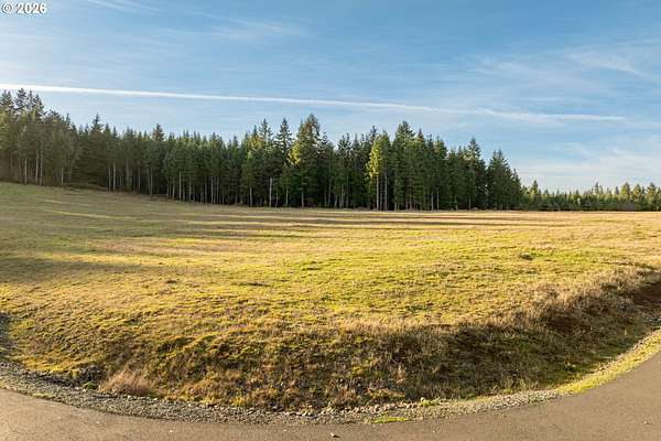 2 Acres of Residential Land for Sale in Silver Lake, Washington