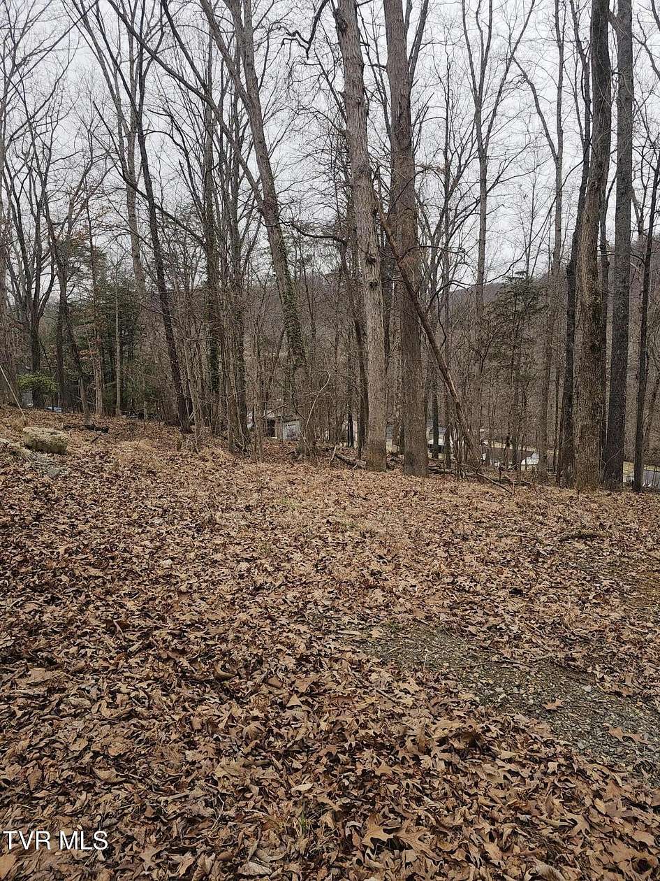 0.71 Acres of Residential Land for Sale in Bristol, Tennessee
