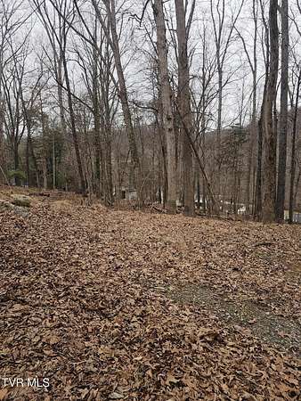 0.71 Acres of Residential Land for Sale in Bristol, Tennessee
