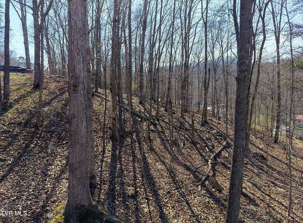 0.71 Acres of Residential Land for Sale in Bristol, Tennessee