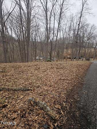 0.86 Acres of Residential Land for Sale in Bristol, Tennessee