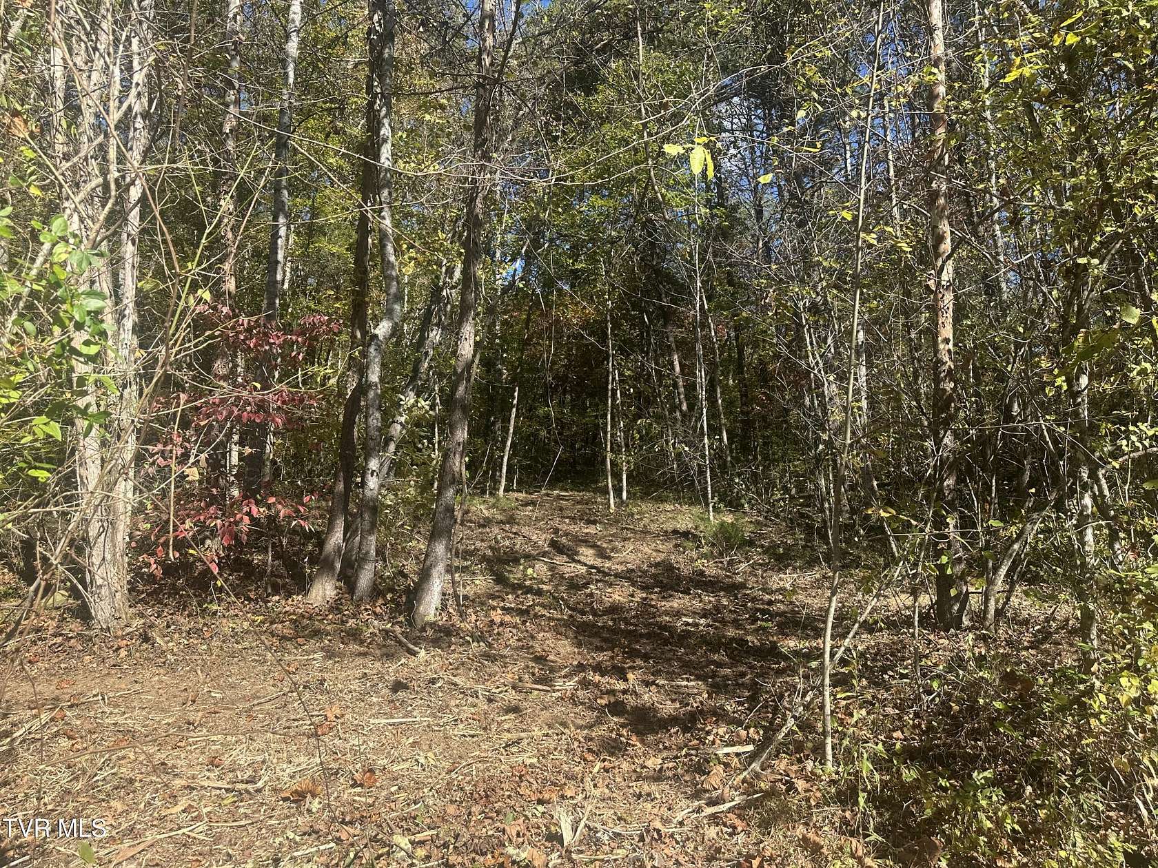 18.5 Acres of Land for Sale in Rogersville, Tennessee
