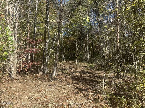 18.5 Acres of Land for Sale in Rogersville, Tennessee