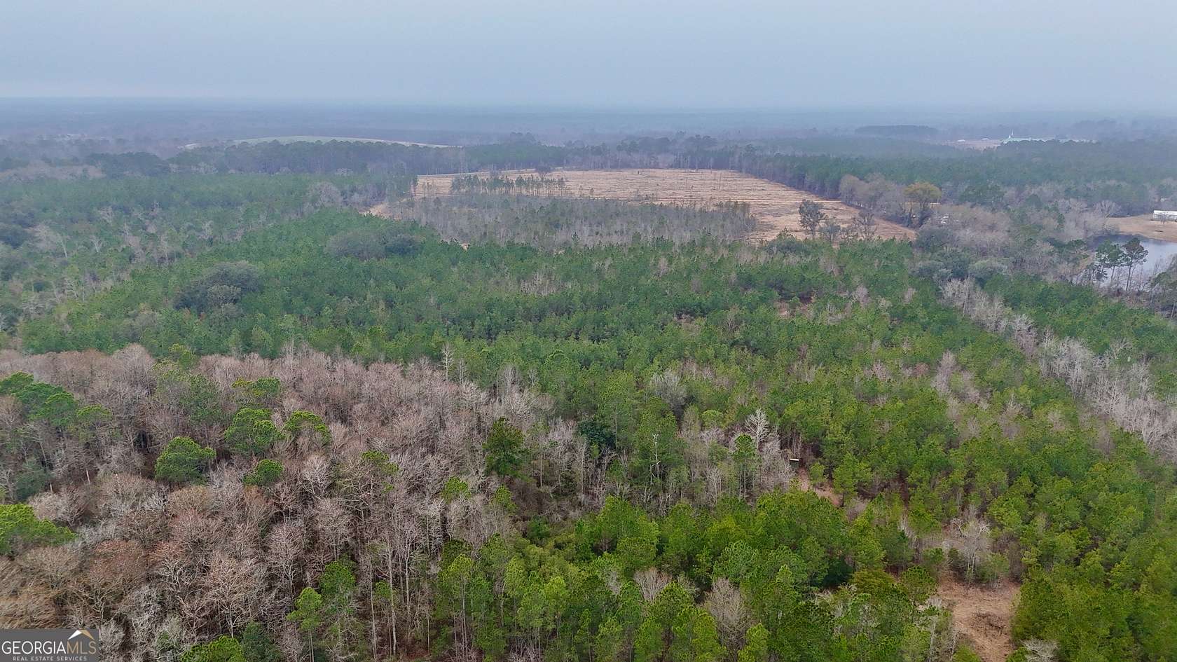 62 Acres of Recreational & Residential Land for Sale in Glennville, Georgia