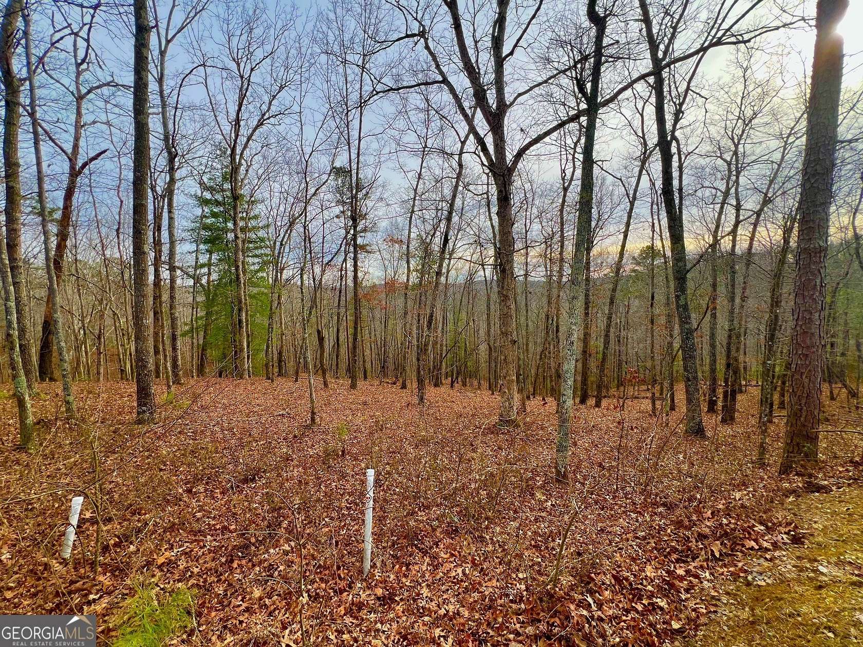 1.37 Acres of Residential Land for Sale in Ellijay, Georgia