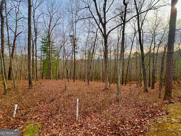 1.37 Acres of Residential Land for Sale in Ellijay, Georgia