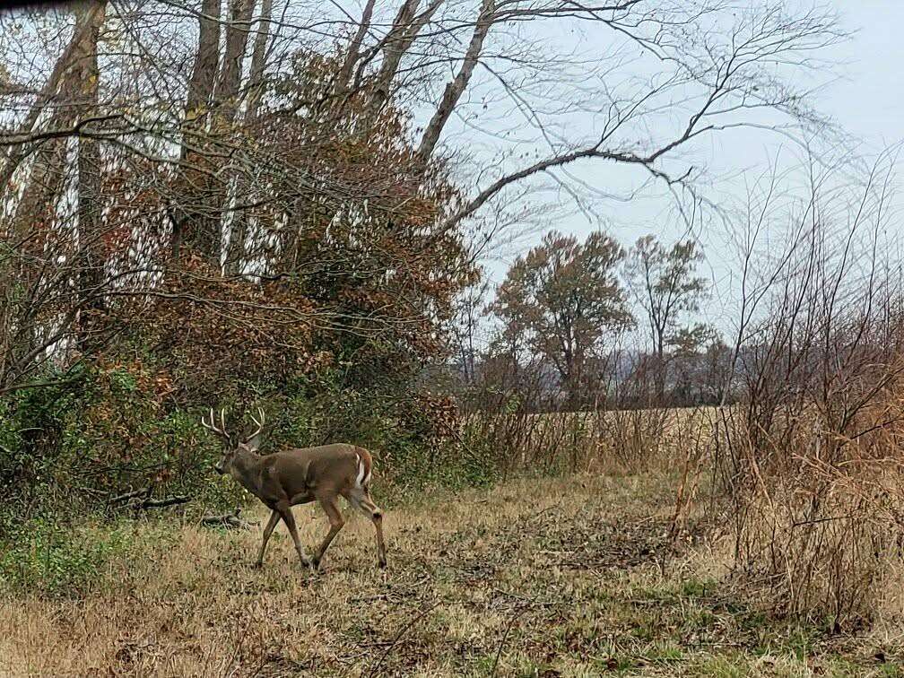 10 Acres of Residential Land for Sale in Enfield, Illinois
