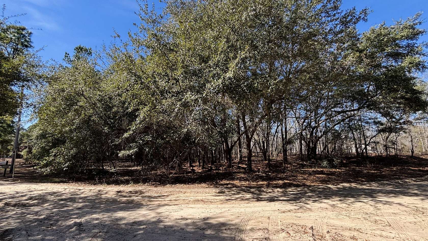 2 Acres of Residential Land for Sale in Elloree, South Carolina