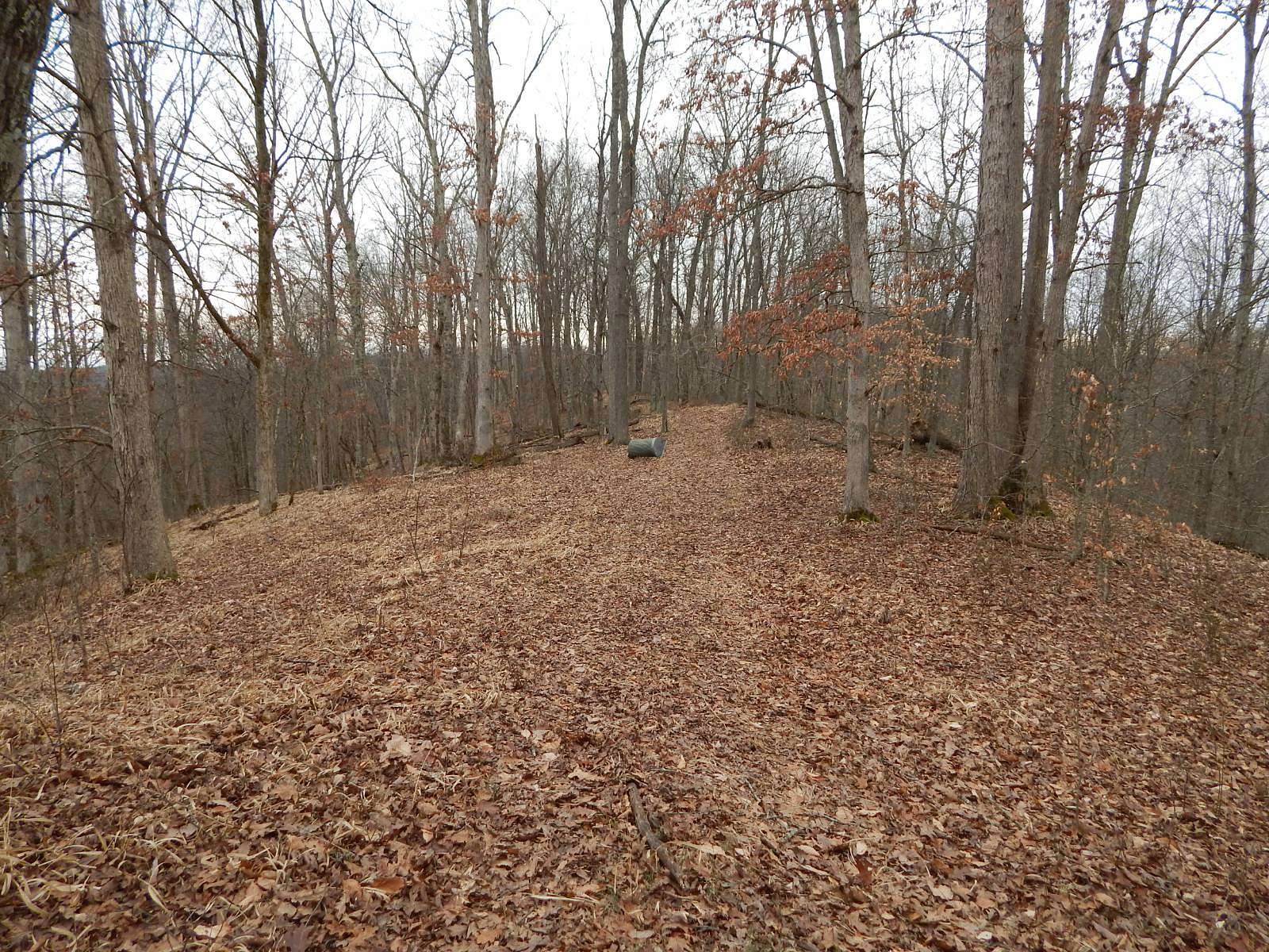 30 Acres of Recreational Land for Sale in Petroleum, West Virginia