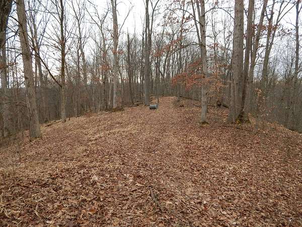 30 Acres of Recreational Land for Sale in Petroleum, West Virginia