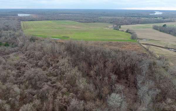 170 Acres of Land for Sale in Marksville, Louisiana