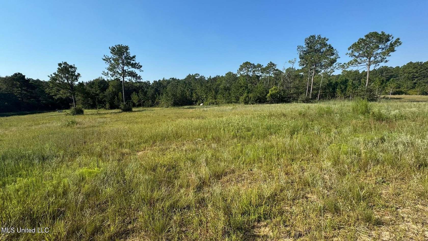 24.5 Acres of Land for Sale in Gulfport, Mississippi