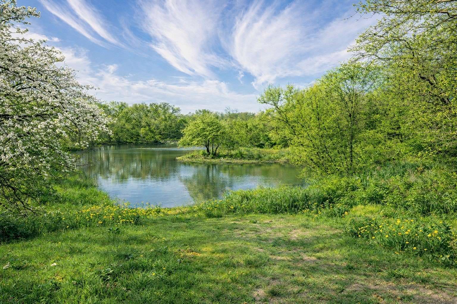 5.48 Acres of Residential Land for Sale in Arlington, Texas