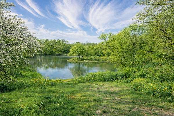 5.48 Acres of Residential Land for Sale in Arlington, Texas