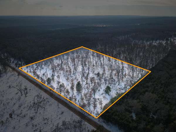 10 Acres of Recreational Land for Sale in Irons, Michigan