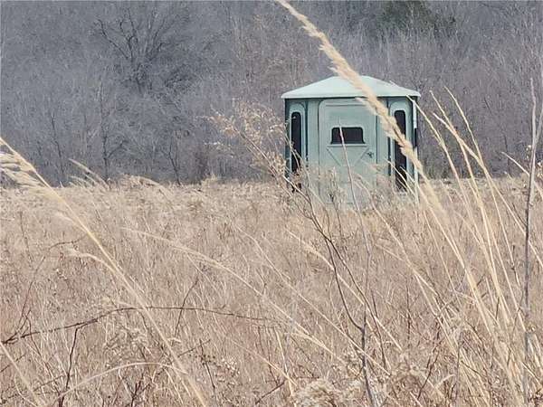 127 Acres of Land for Sale in Ozark Township, Missouri