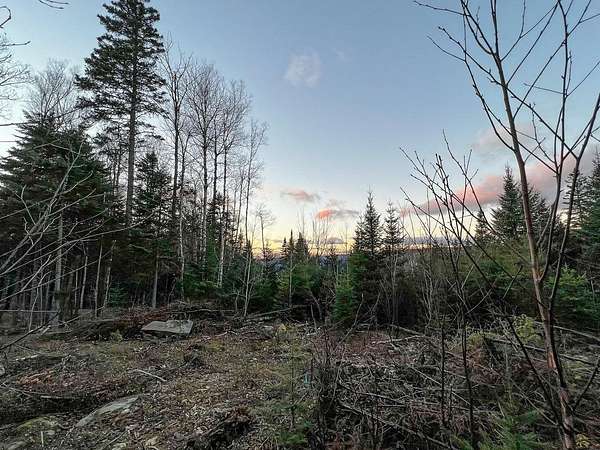10.3 Acres of Recreational & Residential Land for Sale in Sandy River Plantation, Maine
