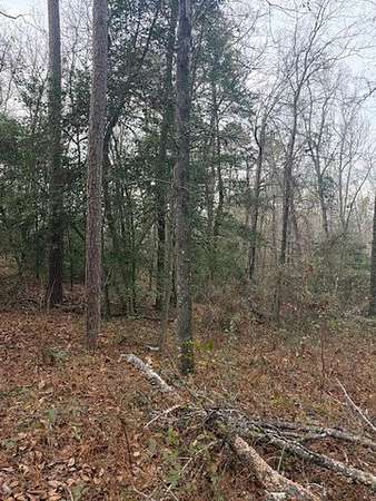 4.7 Acres of Residential Land for Sale in Hephzibah, Georgia