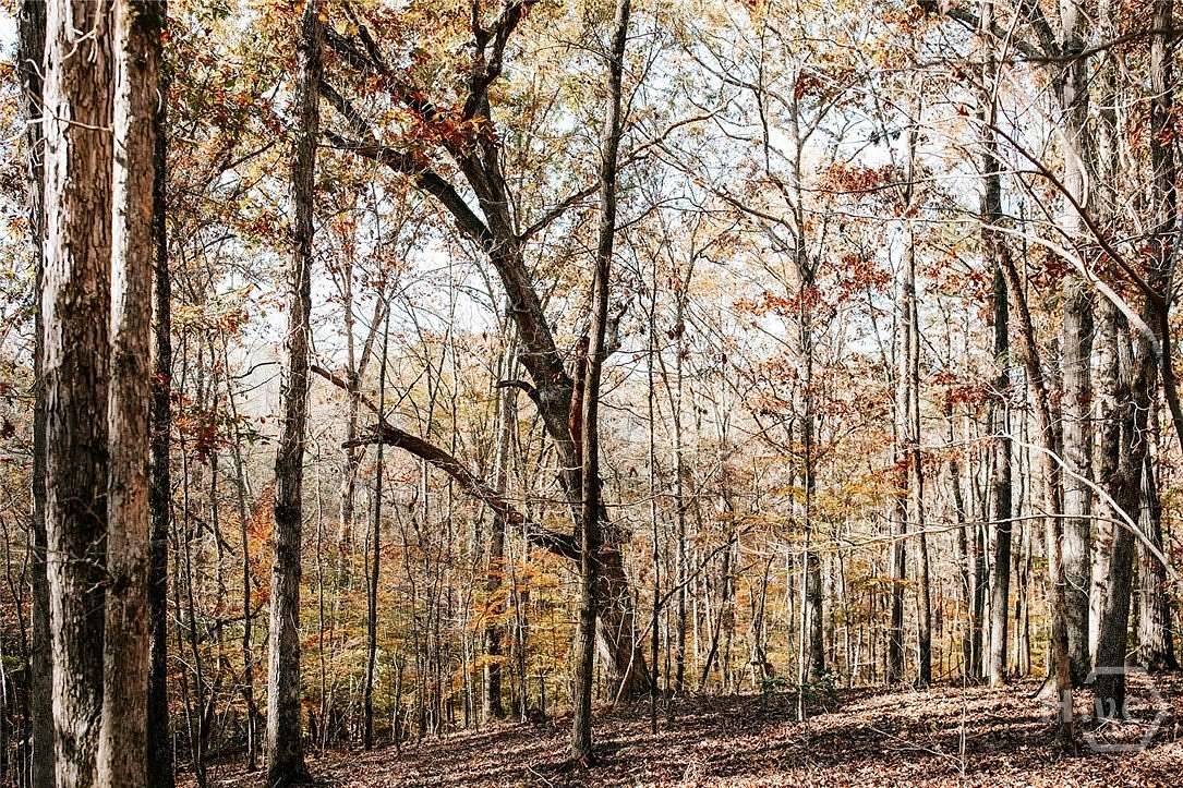 15.4 Acres of Recreational & Residential Land for Sale in Crawfordville, Georgia