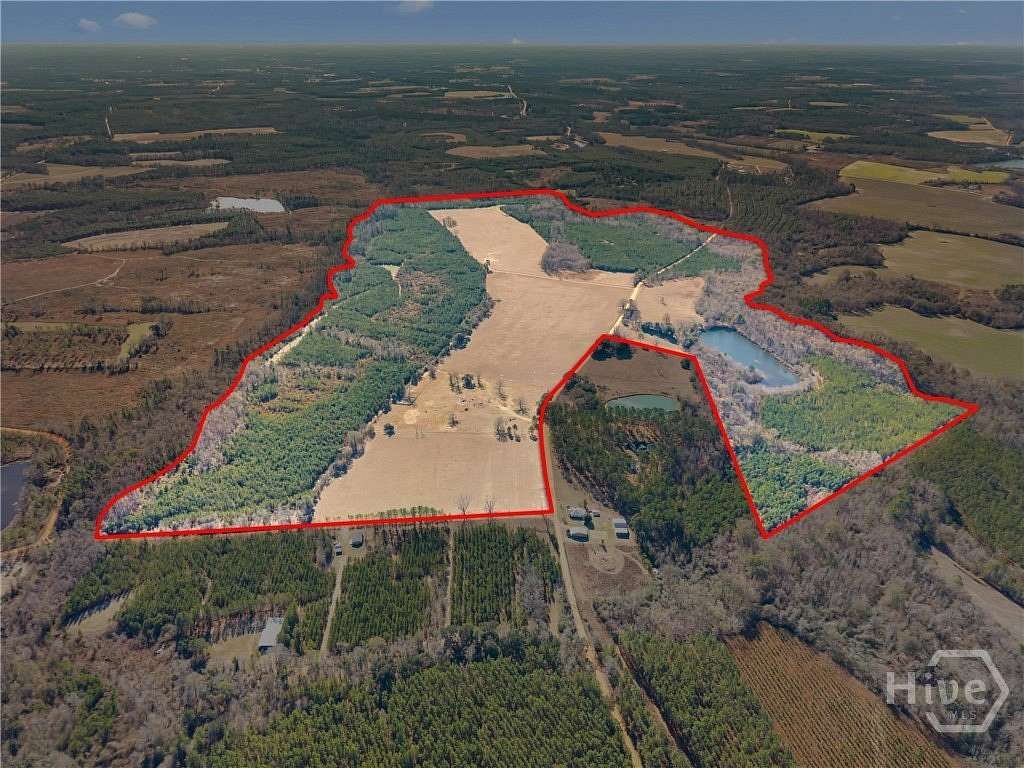 305 Acres of Recreational Land for Sale in Portal, Georgia