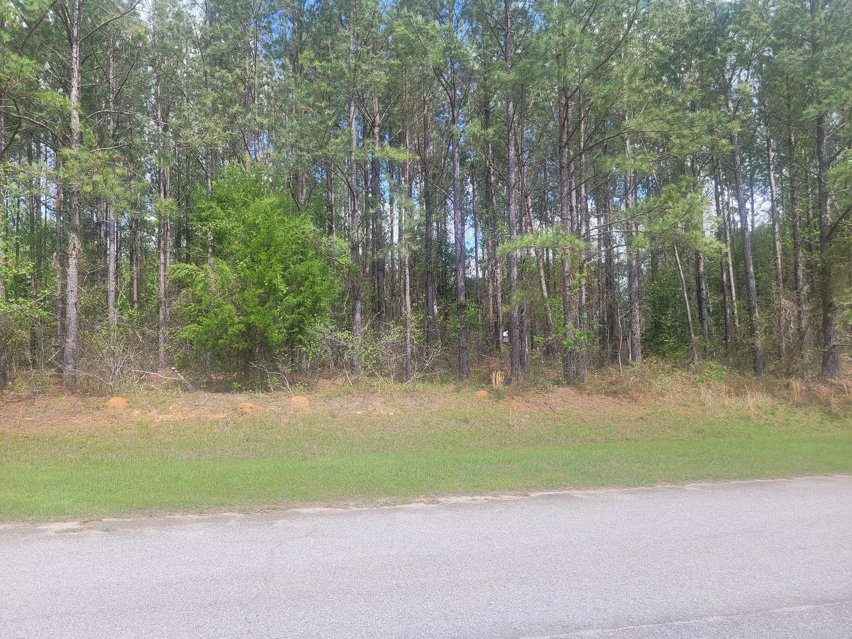 2 Acres of Residential Land for Sale in Hephzibah, Georgia
