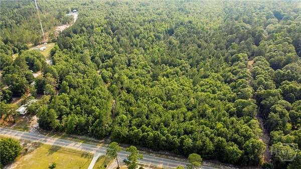 48.6 Acres of Recreational & Residential Land for Sale in Sylvania, Georgia
