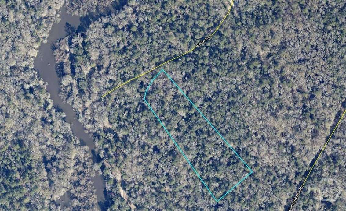 5 Acres of Residential Land for Sale in Reidsville, Georgia