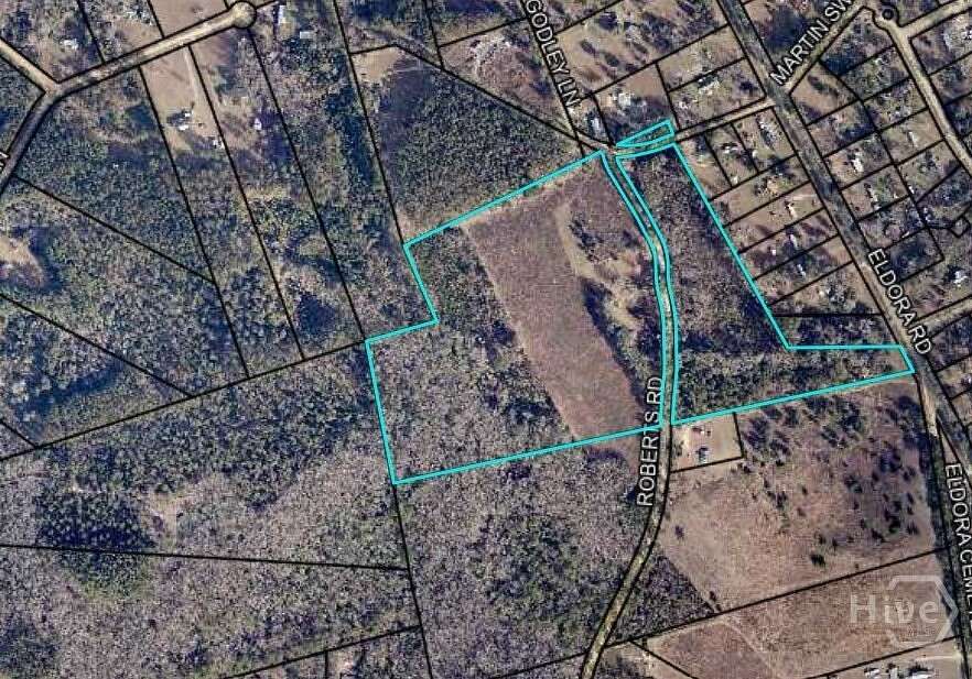 41.9 Acres of Agricultural Land for Sale in Ellabell, Georgia