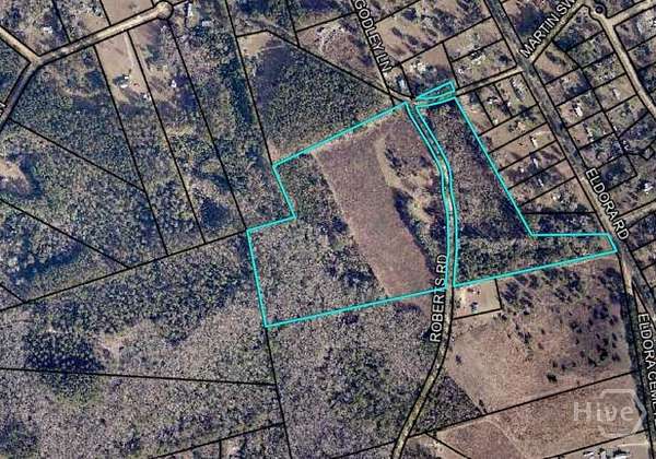 41.9 Acres of Agricultural Land for Sale in Ellabell, Georgia