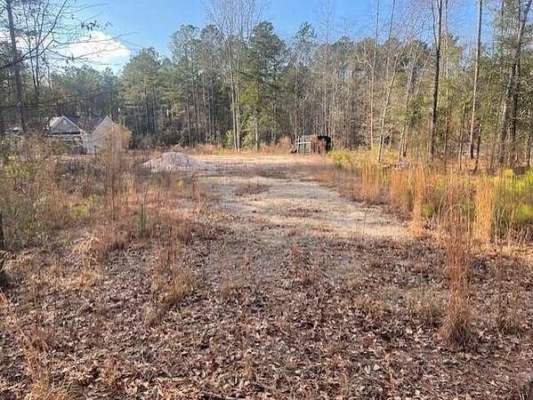 0.95 Acres of Residential Land for Sale in Stapleton, Georgia