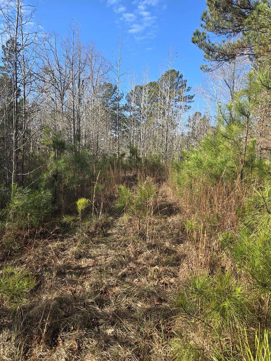 4.26 Acres of Residential Land for Sale in Lincolnton, Georgia