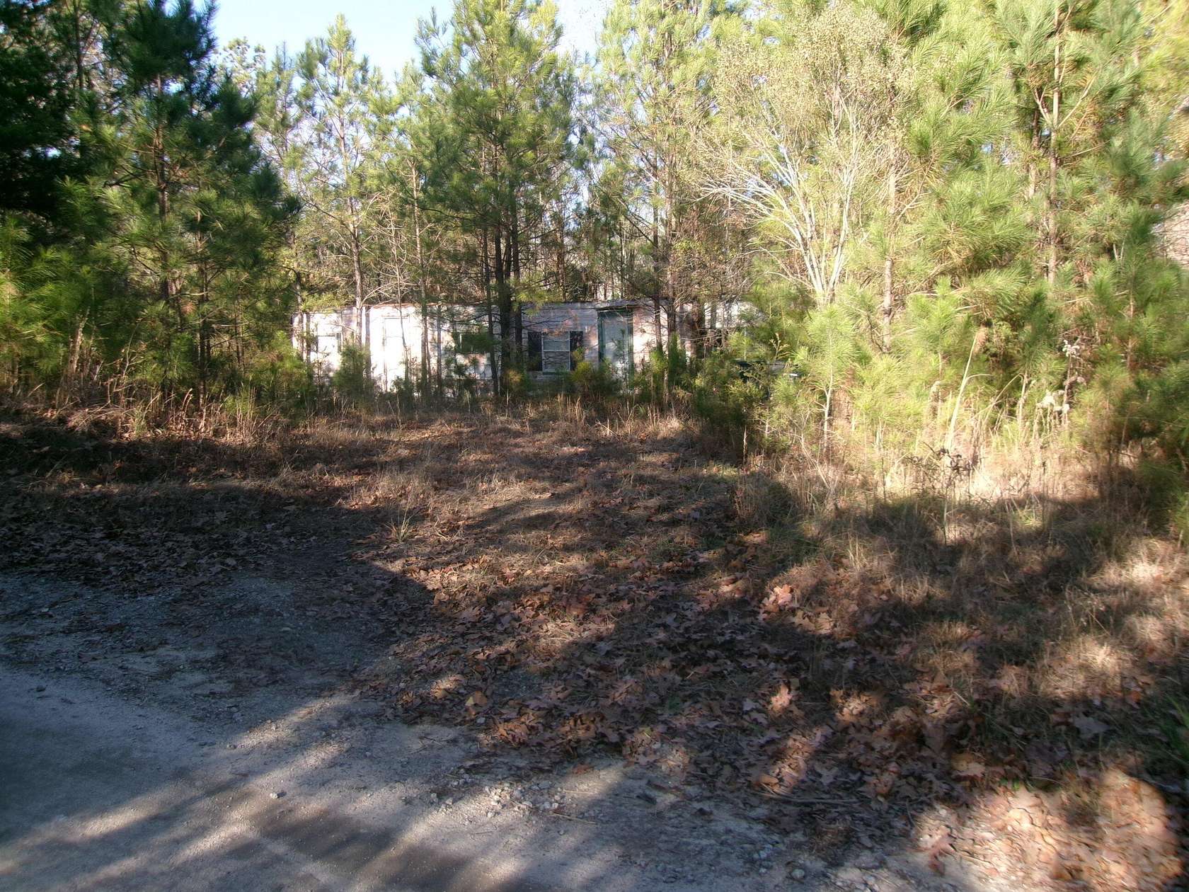 4.2 Acres of Residential Land with Home for Sale in Appling, Georgia