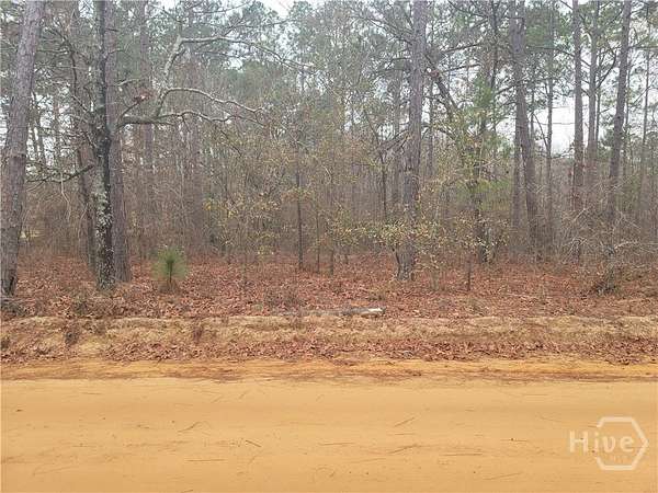 4.43 Acres of Residential Land for Sale in Collins, Georgia