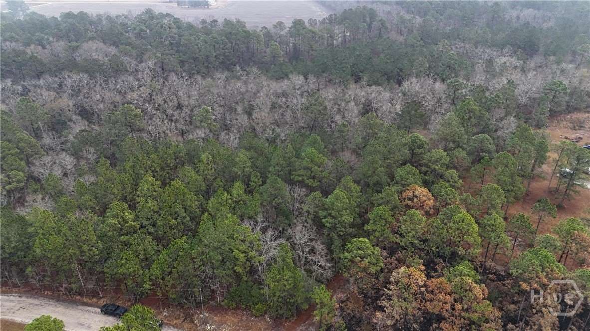 11.9 Acres of Land for Sale in Pembroke, Georgia