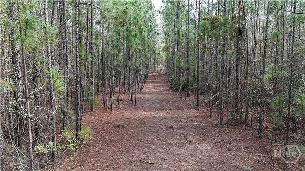11.9 Acres of Land for Sale in Pembroke, Georgia