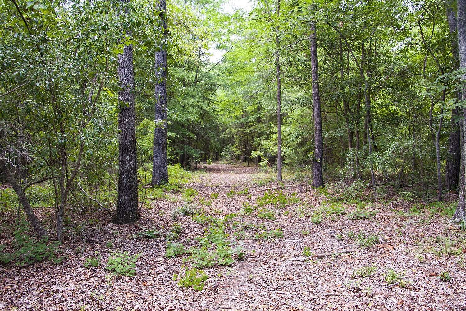 68 Acres of Recreational & Residential Land for Sale in Hephzibah, Georgia