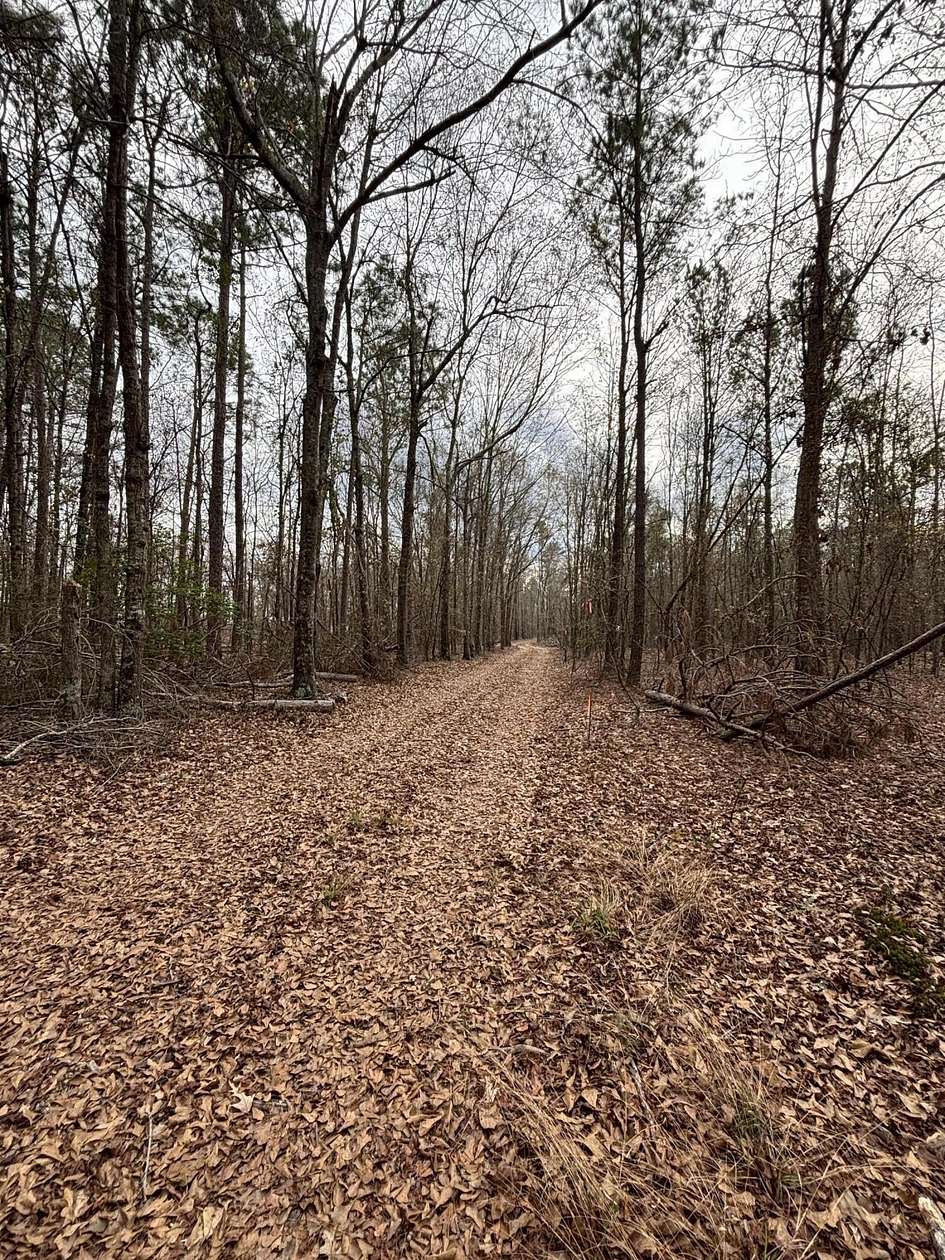 91.4 Acres of Land for Sale in Blythe, Georgia