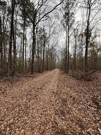 91.4 Acres of Land for Sale in Blythe, Georgia