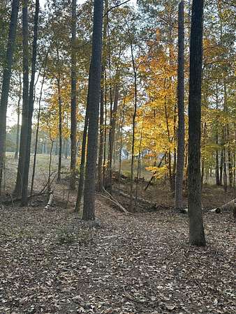 12.7 Acres of Land for Sale in Lincolnton, Georgia