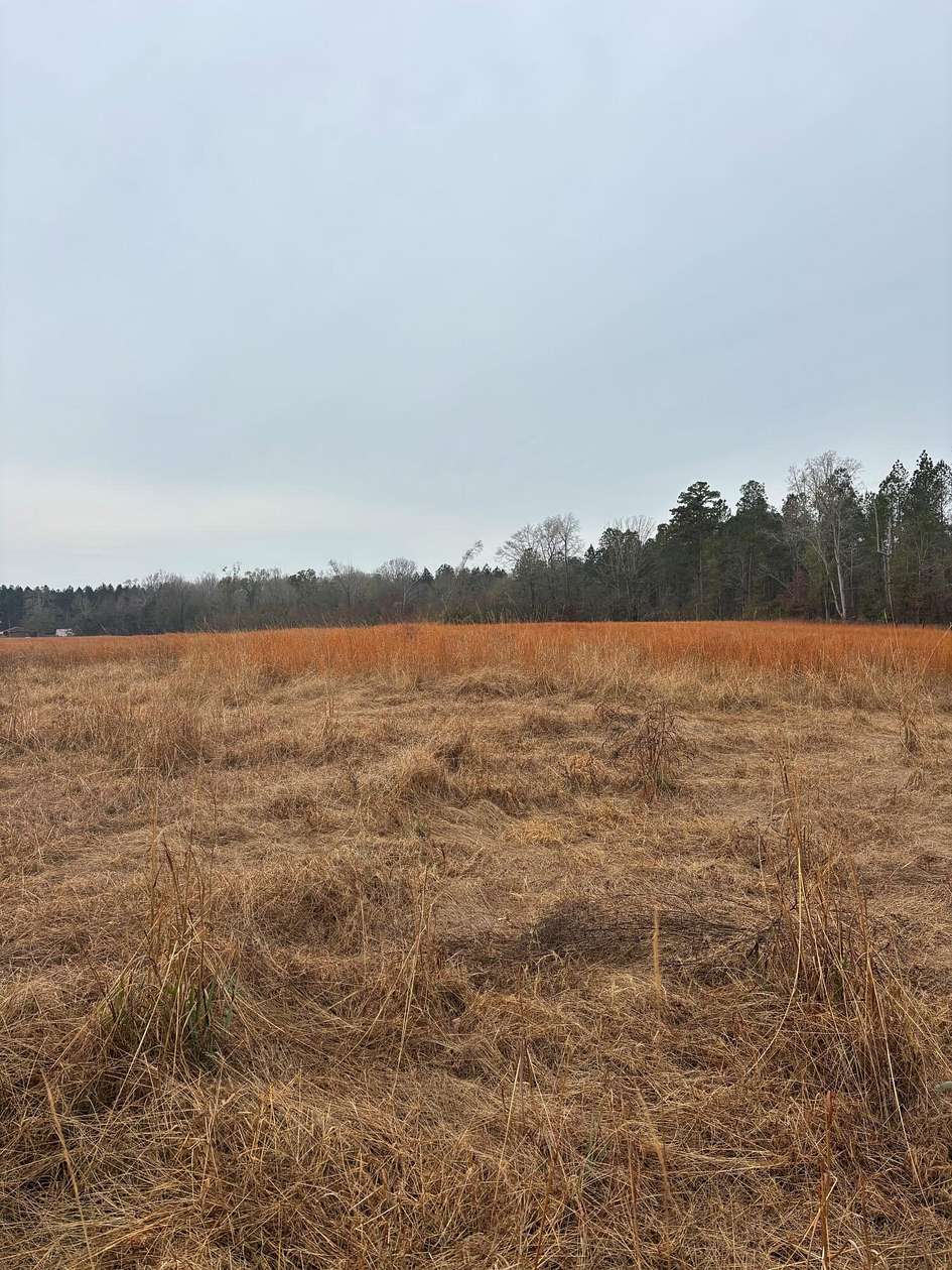 14.5 Acres of Land for Sale in Norwood, Georgia