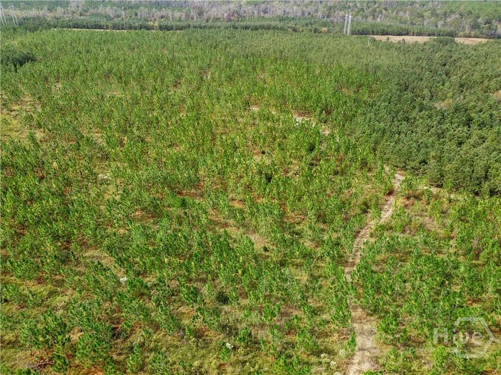 75 Acres of Land for Sale in Soperton, Georgia