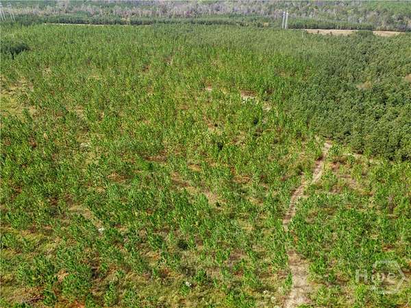 75 Acres of Land for Sale in Soperton, Georgia