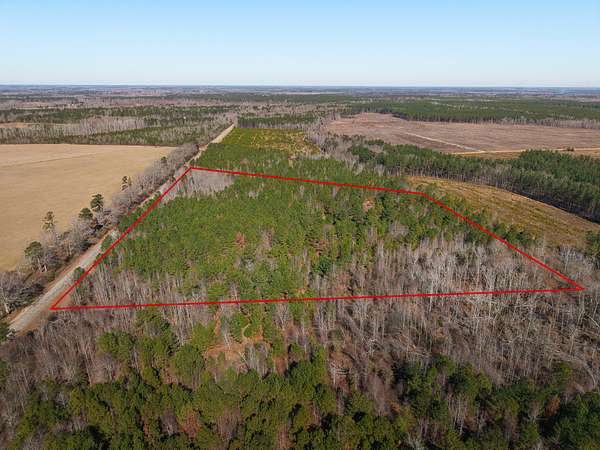 19.3 Acres of Recreational & Residential Land for Sale in Midville, Georgia