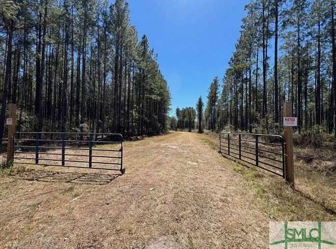 100 Acres of Land for Sale in Ludowici, Georgia